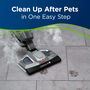 Symphony Pet Easy Pet Mess Clean Up